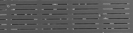 microplastic filters