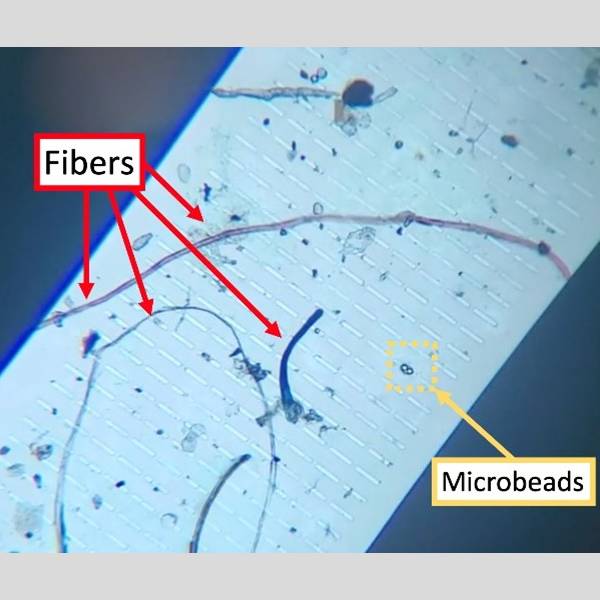 Microplastic Capture & Analysis