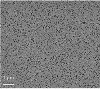 Custom Porous Membrane Chip Formats