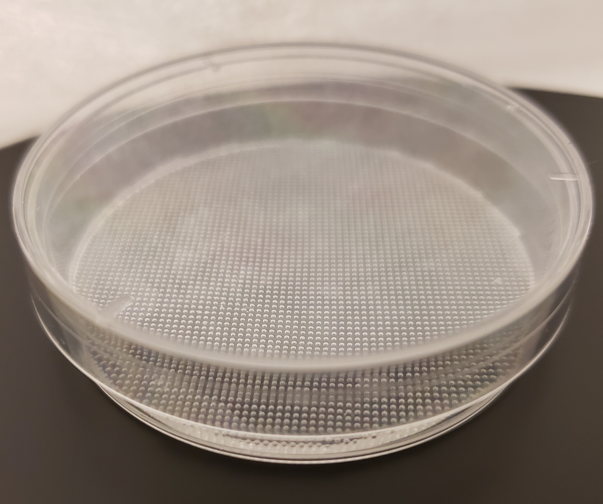 MicroBubble Array™ Cultureware – Dishes