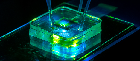 microfluidic system