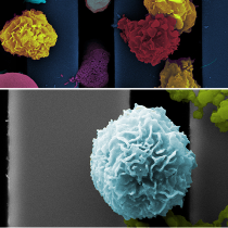 Microporous & Microslit Silicon Nitride