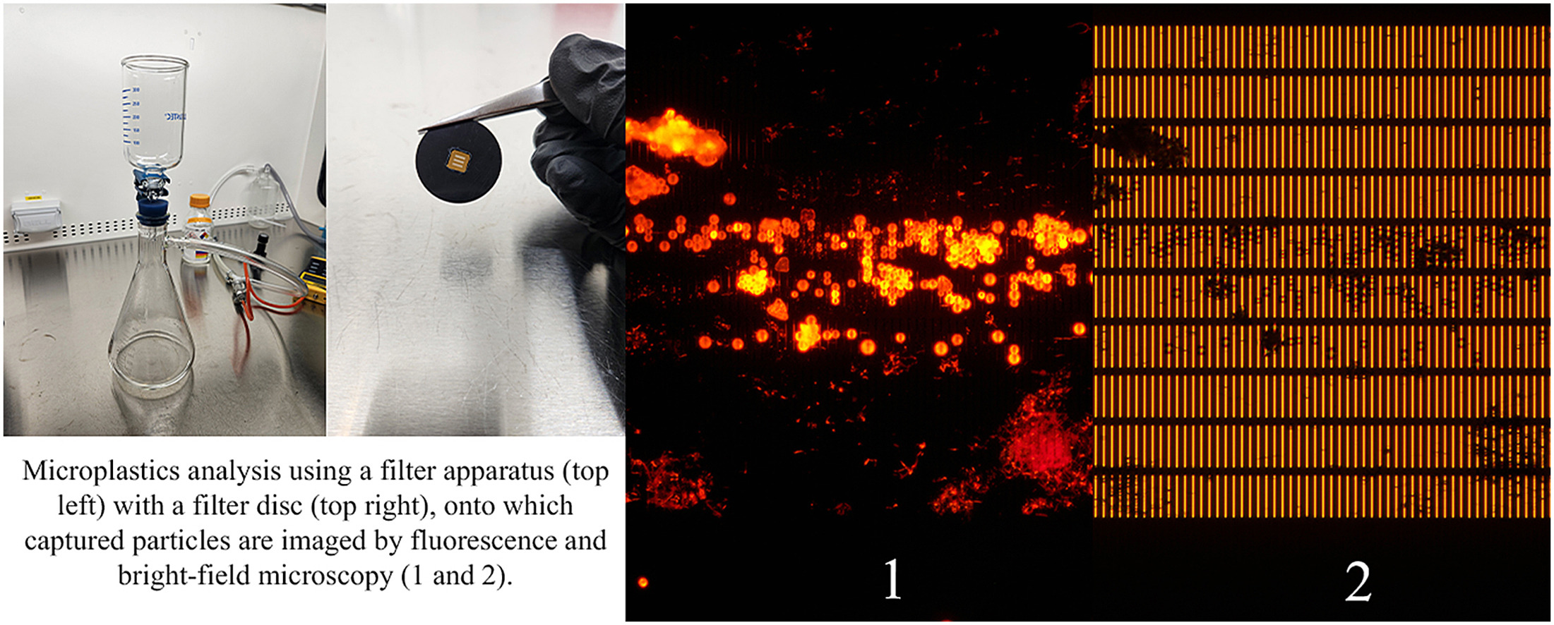 Comparative Evaluation of Filtration and Imaging Properties of Filter Membranes for Microplastic Capture and Analysis