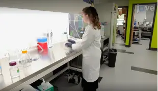 Multi-modal analysis of microplastics enabled by silicon nanomembranes