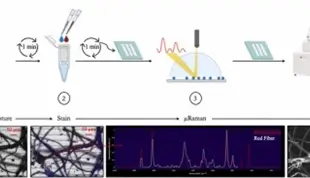 Multi-modal analysis of microplastics enabled by silicon nanomembranes