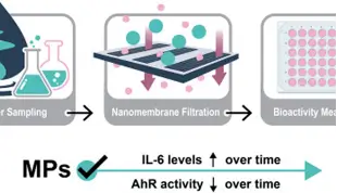 Multi-modal analysis of microplastics enabled by silicon nanomembranes