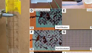 Multi-modal analysis of microplastics enabled by silicon nanomembranes