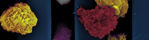 Nanofiltration & DIY Microfluidics