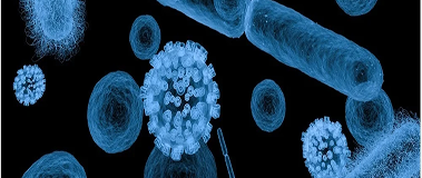 X-Ray Microscopy